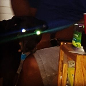 Meet your Posher, Pebbles